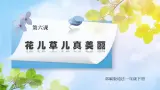 核心素養(yǎng)目標 道法一下 第6課花兒草兒真美麗 課件ppt+教案