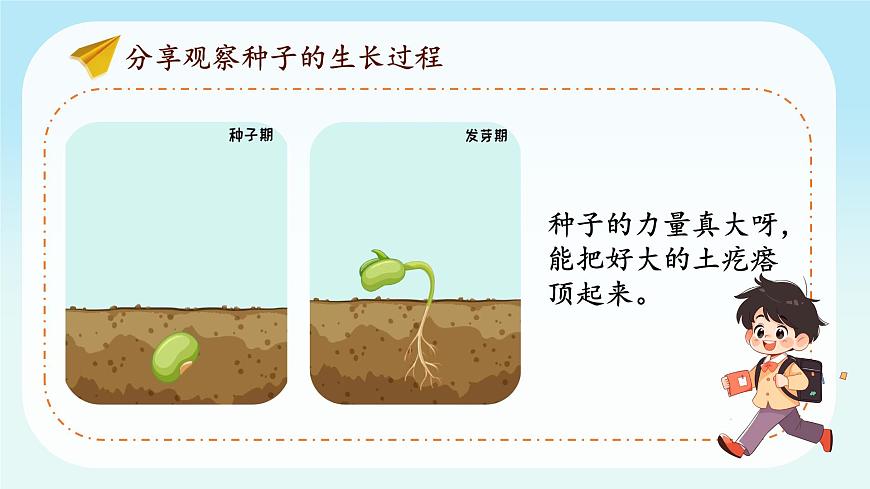 第4課第2課時(shí)《試種一粒籽》課件第8頁(yè)
