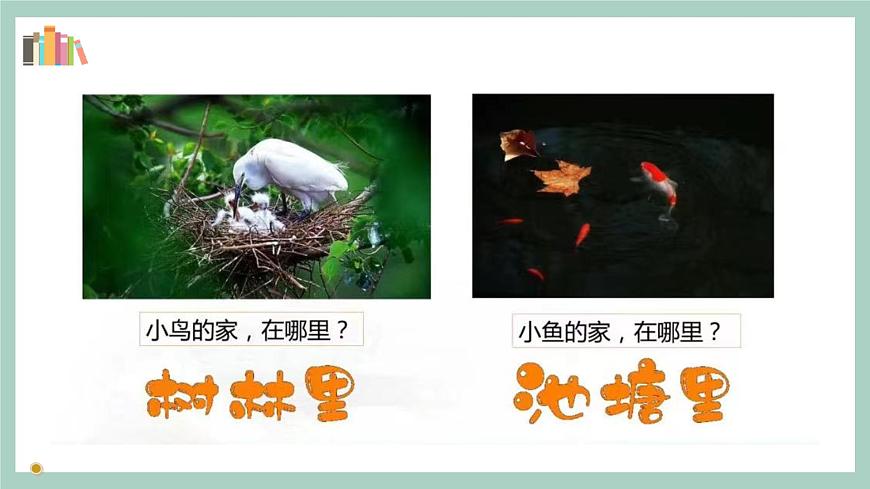 第5課《我的家在這里》課件第6頁