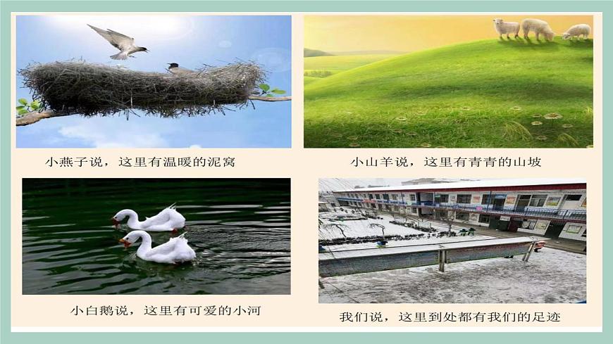 第5課《我的家在這里》課件第7頁