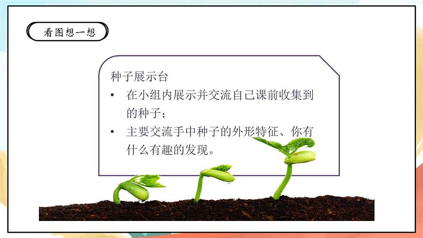 人教部編版道法二年級(jí)下冊 4《試種一粒籽》課件第7頁