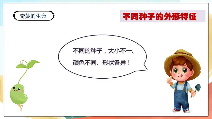 人教部編版道法二年級(jí)下冊 4《試種一粒籽》課件第8頁