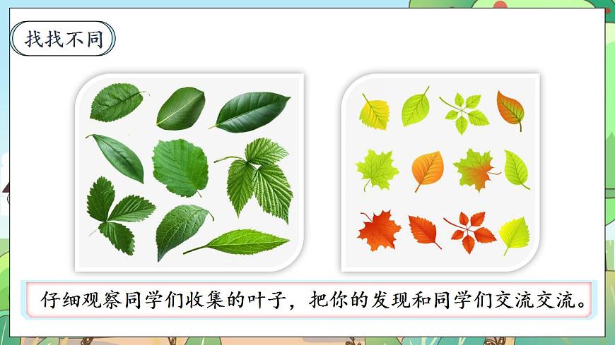 【新課標(biāo)】人教部編版道法三年級(jí)下冊(cè) 2.1 《不一樣的你我他》 第一課時(shí) 課件素材第3頁(yè)