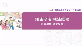 小学政治 (道德与法治)人教部编版六年级上册第四单元 法律保护我们健康成长9 知法守法，依法维权一等奖ppt课件