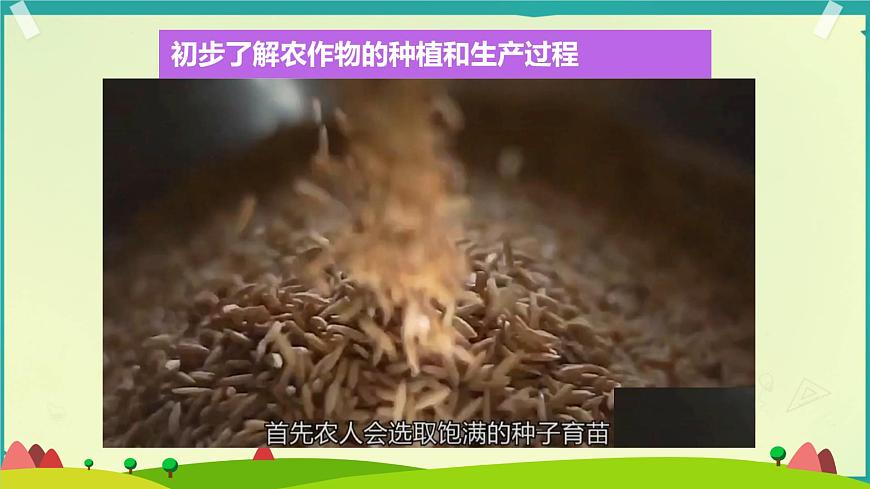 7 我們的衣食之源 課件 小學(xué)道德與法治人教部編版四年級下冊第6頁
