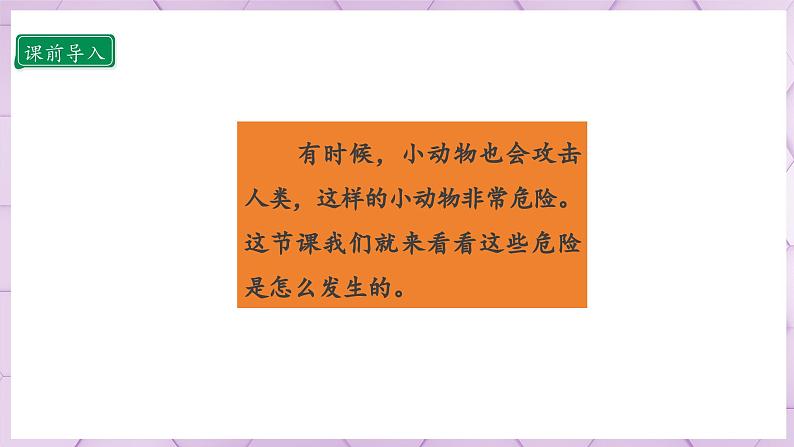【人教部编版】一上道法 11.2 别伤着自己 第二课时(课件+教案+素材)04