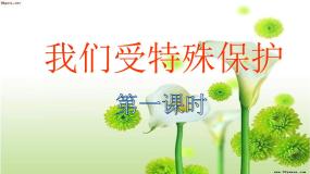 人教部编版六年级上册8 我们受特殊保护课文内容课件ppt