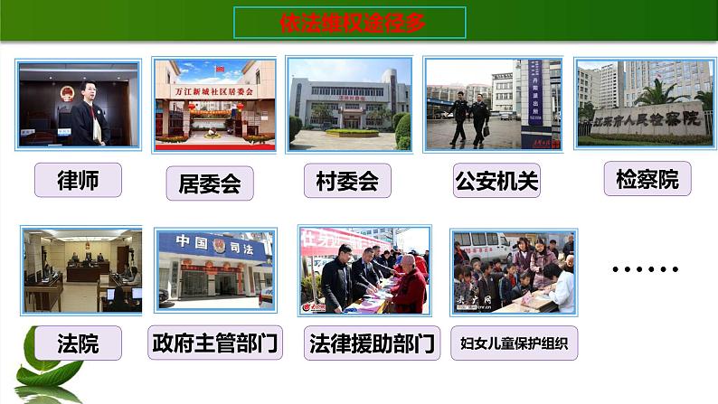 人教版道德与法治六年级上9.知法守法-依法维权 第3课时 课件第5页