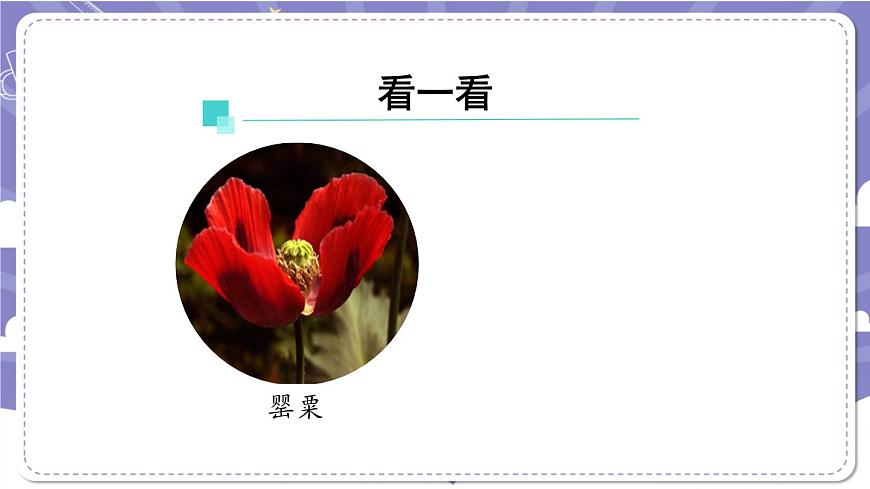 【道德與法治(統(tǒng)編版)】主動拒絕煙酒與毒品(第二課時)-2課件第4頁