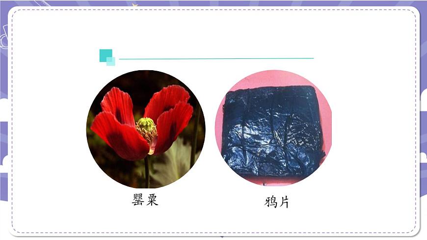 【道德與法治(統(tǒng)編版)】主動拒絕煙酒與毒品(第二課時)-2課件第5頁