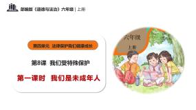 人教部编版六年级上册8 我们受特殊保护优秀教学课件ppt