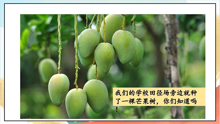統(tǒng)編版道法三年級(jí)上冊(cè)  4.1 說說我們的學(xué)校 第一課時(shí) 課件第6頁