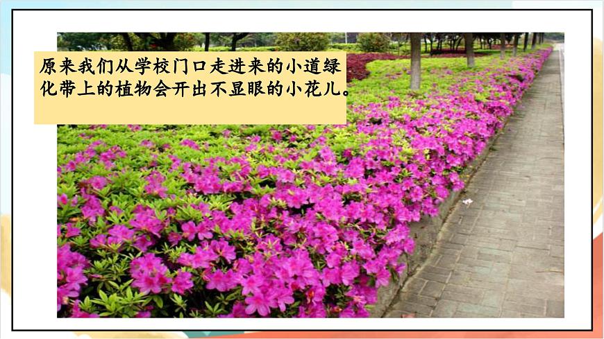 統(tǒng)編版道法三年級(jí)上冊(cè)  4.1 說說我們的學(xué)校 第一課時(shí) 課件第7頁