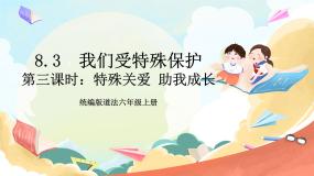 统编版（2024）六年级上册8 我们受特殊保护公开课课件ppt