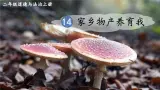 統(tǒng)編版道德與法治二上 14《家鄉(xiāng)物產(chǎn)養(yǎng)育我》課件+音視頻素材