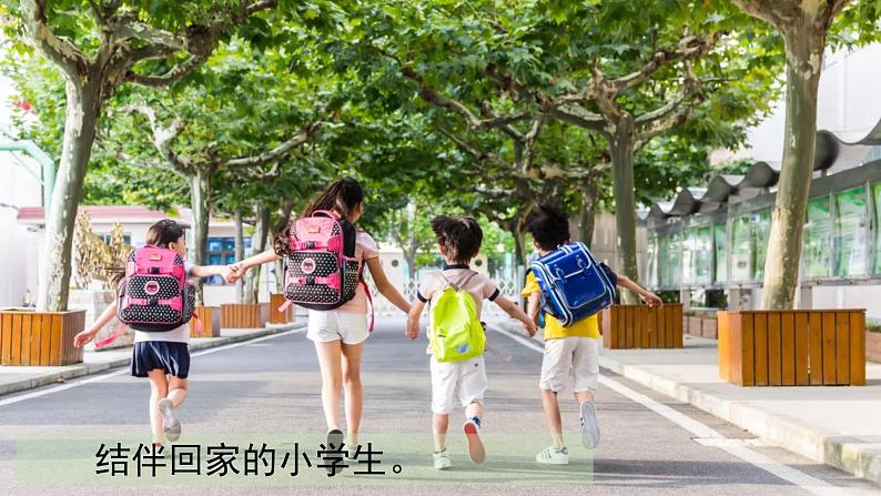 (2024)统编版道德与法治一年级上册(4)平平安安回家来PPT课件07