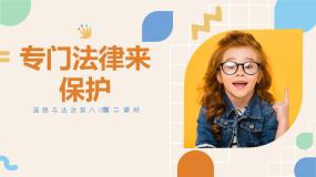 小学统编版（2024）8 我们受特殊保护精品课件ppt