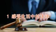 政治 (道德与法治)六年级上册1 感受生活中的法律获奖课件ppt