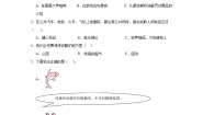 统编版（2024）二年级上册12 我们小点儿声当堂达标检测题