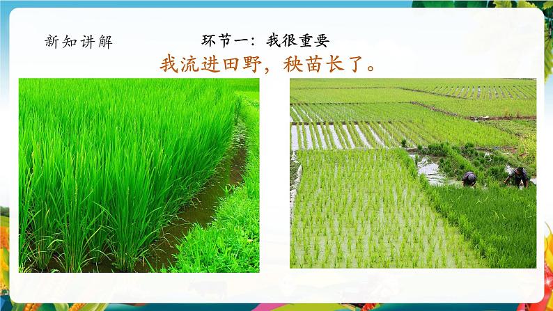 【大单元整体教学】9.小水滴的诉说(第一课时)课件第7页