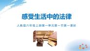 小学政治 (道德与法治)统编版（2024）六年级上册1 感受生活中的法律示范课ppt课件