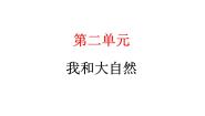 小学政治 (道德与法治)统编版（2024）一年级下册5 风儿轻轻吹教学ppt课件