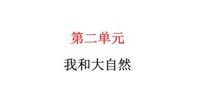小学政治 (道德与法治)统编版（2024）一年级下册5 风儿轻轻吹教学ppt课件