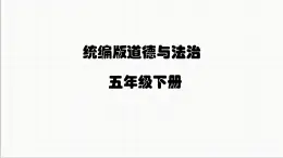 统编版小学道德与法治五年级下册2-5建立良好的公共秩序（第一课时）课件