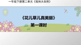 小学政治 (道德与法治)统编版（2024）一年级下册6 花儿草儿真美丽教课内容ppt课件