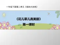 统编版小学道德与法治一年级下册2-6《花儿草儿真美丽》课件