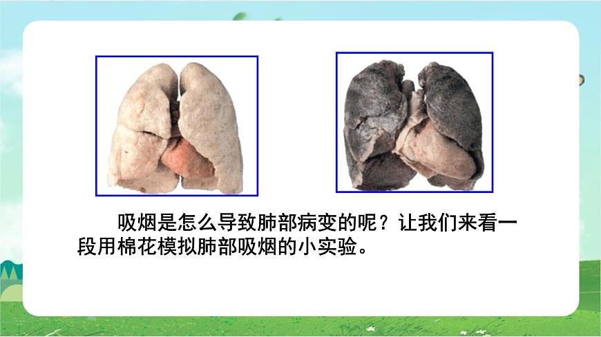 3.1《主動拒絕煙酒和毒品》第一課時第8頁