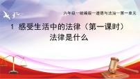 統(tǒng)編版（2024）六年級上冊感受生活中的法律完美版課件ppt