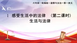 部編版小學(xué)道德與法治六年級(jí)上冊(cè) 1.2《感受生活中的法律》第二課時(shí) 課件+教案