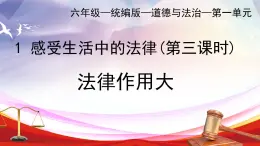 部編版小學(xué)道德與法治六年級(jí)上冊(cè) 1.3《感受生活中的法律》第三課時(shí) 課件+教案