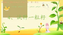 小學政治 (道德與法治)統(tǒng)編版（2024）二年級下冊1.4 試種一粒籽 課件