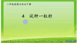 小學政治 (道德與法治)統(tǒng)編版（2024）二年級下冊1.4 試種一粒籽 課件