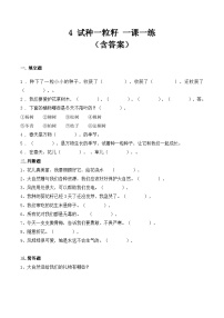 小学政治 (道德与法治)统编版（2024）二年级下册试种一粒籽练习题