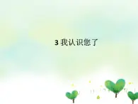 3 我认识您了 课件