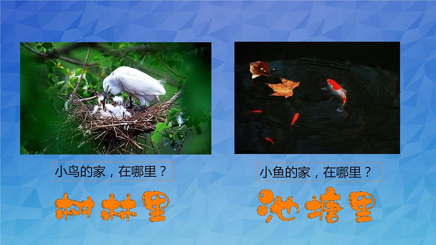 5《我的家在這里》第一課時 PPT第2頁