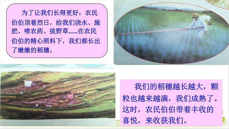 7《我们的衣食之源》精品课件06