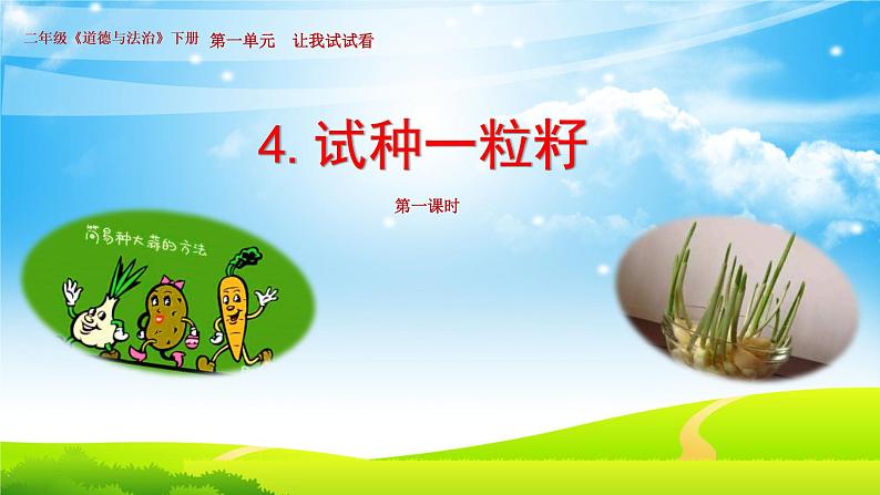 二年级下道德与法治课件二年级下册道德与法治课件-4 试种一粒籽-部编版(共16张PPT)_人教版(2016部编版)第1页
