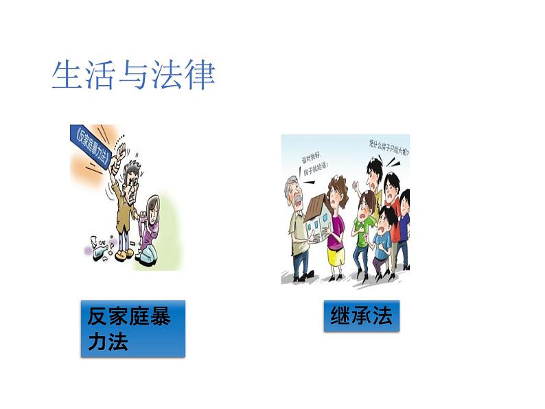 1.1《感受生活中的法律》PPT课件第6页