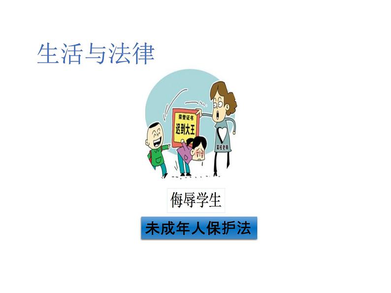 1.1《感受生活中的法律》PPT课件第7页