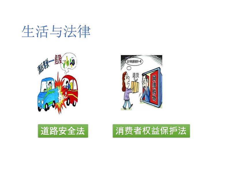 1.1《感受生活中的法律》PPT课件第8页