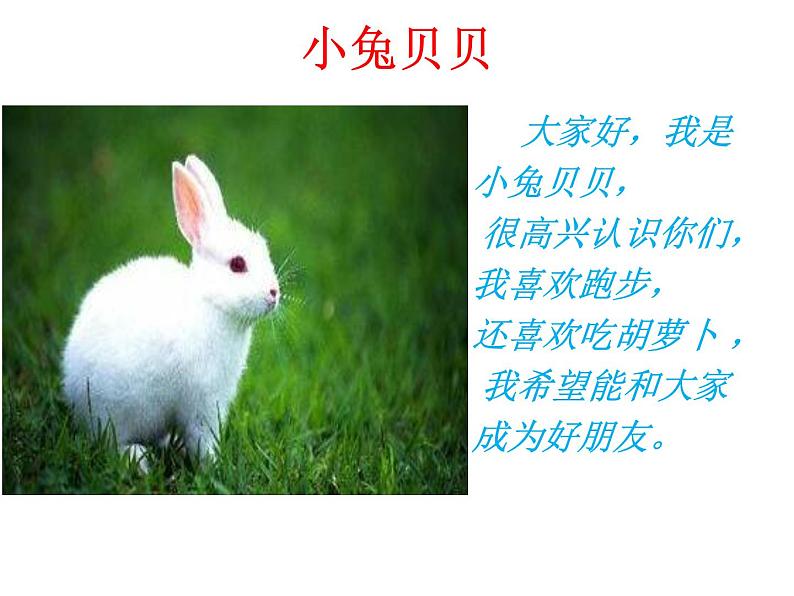 人教部编版(五四制)一年级道德与法治上册2 拉拉手交朋友6 课件02