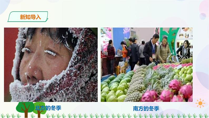 第二章第二节第1课时冬季南北温差大,夏季普遍高温,东西干湿差异显著第3页