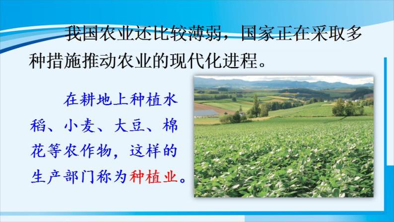 人教版八年级地理上册 第四章 中国的经济发展 第二节 农业 课件05