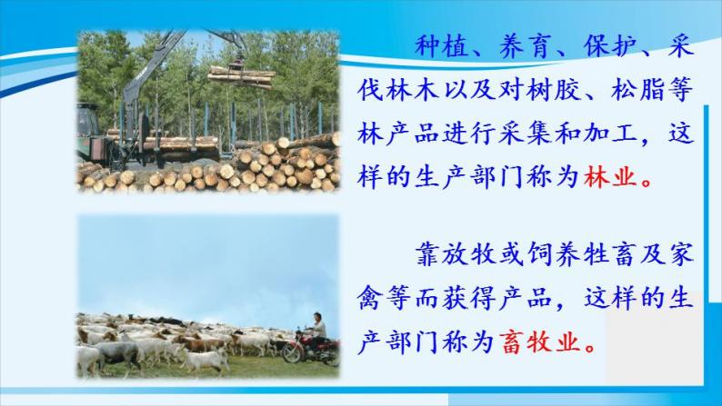 人教版八年级地理上册 第四章 中国的经济发展 第二节 农业 课件06