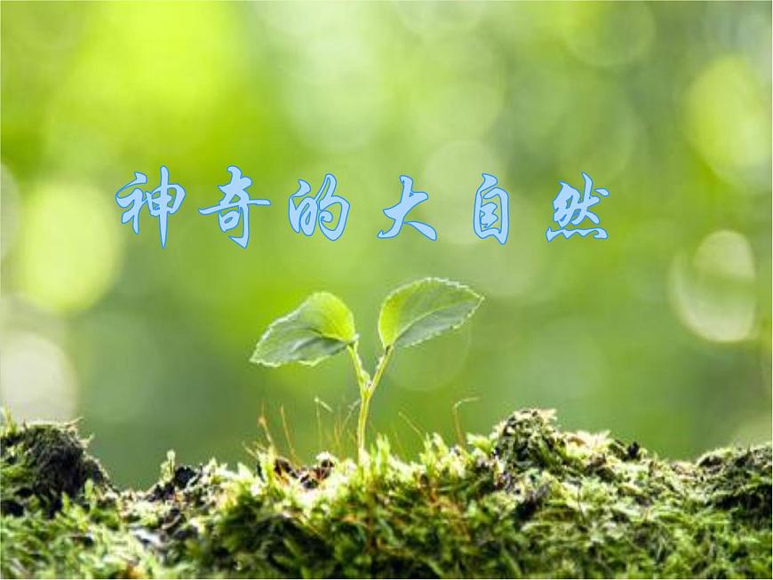 自然資源的基本特征 課件第1頁