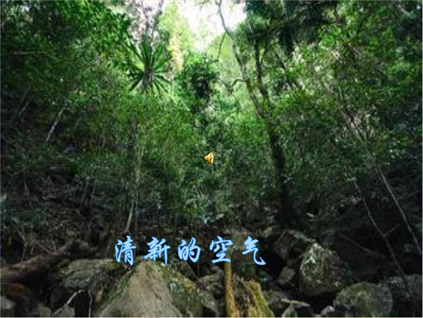 自然資源的基本特征 課件第2頁